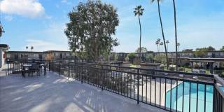Tierra Palms Gallery 32