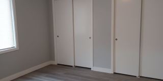 Pine Tree Flats Gallery 34
