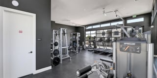 The Saint Mary The Saint Mary Gallery 35