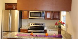 642 CONCERTO Lane Gallery 6