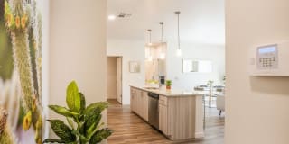 Acero Estrella Commons Gallery 4