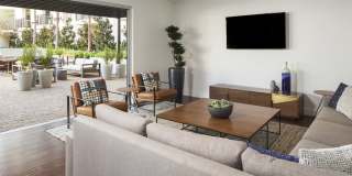 The Fifty Five Fifty Gallery 3