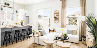 Onyx at Westgate Gallery 12