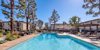 Los Arboles Gallery 1
