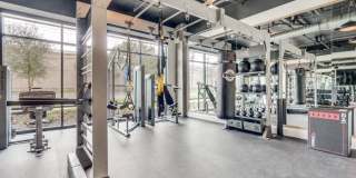 The Met The Met Gallery 39