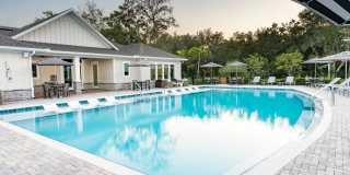 Amavi Kissimmee Amavi Kissimmee Gallery 24