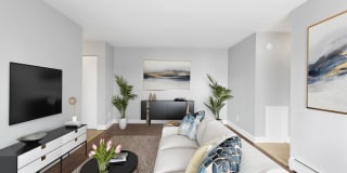 Carolina Village Gallery 3