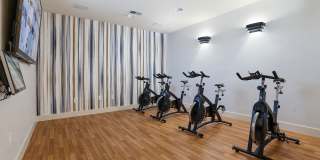 Park Central Gallery 8