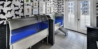 Folksong Flowery Branch Gallery 27