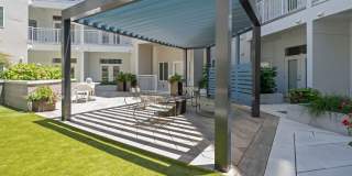 Novi at Concord Gallery 61
