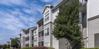 Registry at Windsor Parke Gallery 29