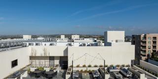 The DeMilo Gallery 26