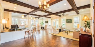 Element Carolina Bay Element Carolina Bay Gallery 34