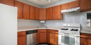 12 Abelia Court Gallery 11
