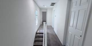 907 Rugby Street Gallery 8