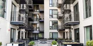 The Olive The Olive Gallery 7