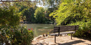 Cobble Creek Gallery 29