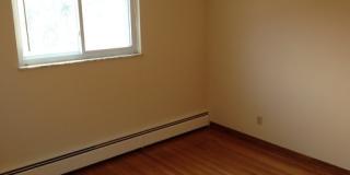 Nandale - Yellow Gallery 17