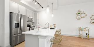 Ashton South End Gallery 15