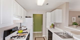 Avalon Melville Gallery 21