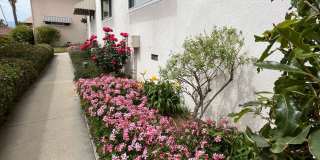Villa Constance South Condo Gallery 19