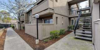 Greenback Gardens Gallery 10