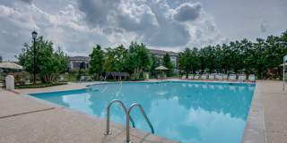 Two Bedroom Condo With Office in Green Hills Gallery 27