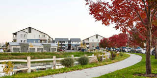 Cortland South Meridian Gallery 41