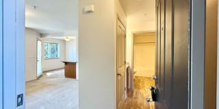 Johnson Street Apartments - Two Bed, One Bath Units Available Now! Gallery 5