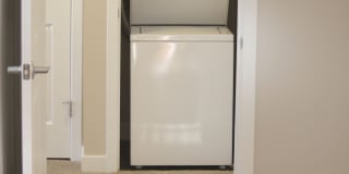 Broadleaf Boulevard Gallery 7