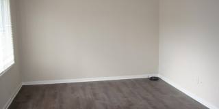 204 CAMERON Street Gallery 3