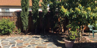 5556 Sunny Oaks Dr Gallery 1