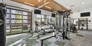 Amavida Marana Gallery 28