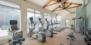 Olympus Waterford Gallery 11