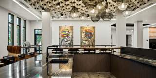 Blume on Central Gallery 6