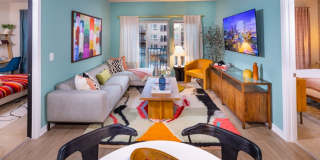 South Alex Gallery 14