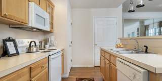 The Orchard Gallery 10