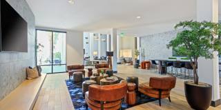 Array La Mesa Gallery 17