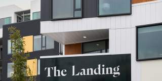 The Landing Gallery 37