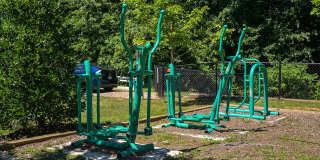 Orchard Park Gallery 21