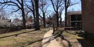 Tree Haven Apartments Gallery 19