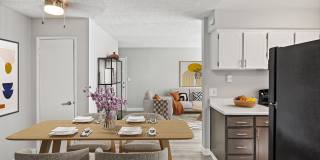 Renew Aster Gallery 1