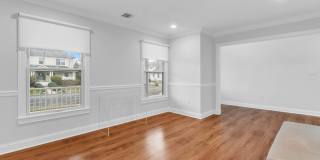 7 Anderson Street Gallery 5