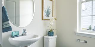 Eden Hill Village Gallery 17