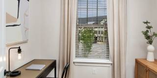 Timberline View Gallery 33