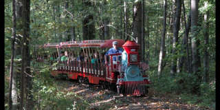 Sparkling and Spacious Gallery 44