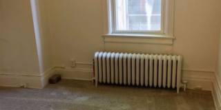Lovely One Bedroom Apartment in Squirrel Hill Gallery 12