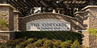 The Vineyards at Hammock Ridge Gallery 38
