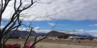 79760 Desert Willow Street Gallery 16