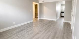 Eleanor Gallery 7